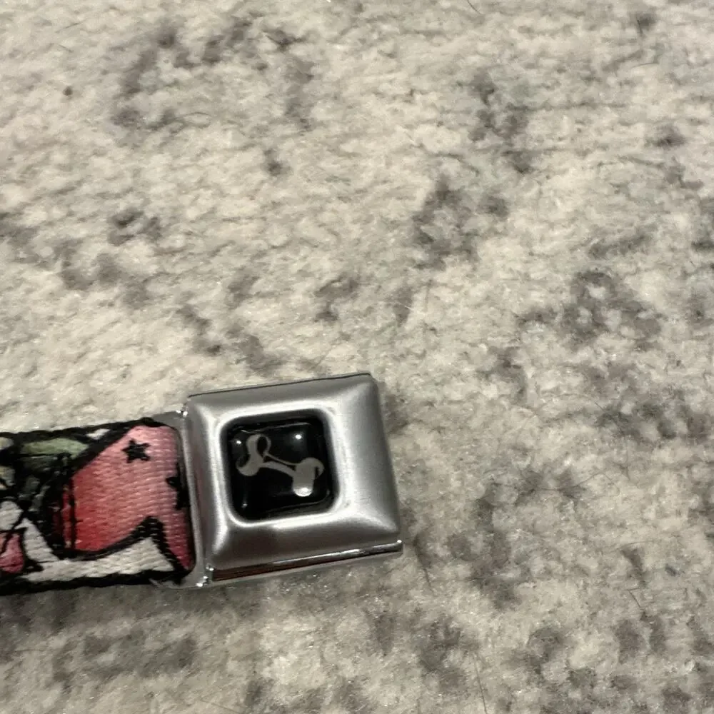 Buckle-Down Adjustable Nylon Dog ED Hardy Collar Seatbelt Buckle, S, Skulls